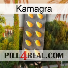 Kamagra cialis1